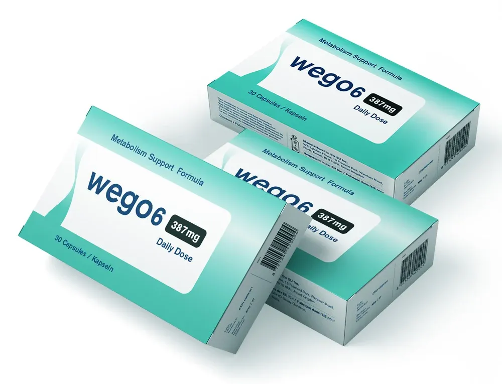 Wego6 Verpackung